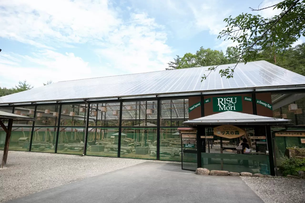 🐿️ 다람쥐의 숲 히다 산야초 자연정원(리스노모리 히다산야소 시젠테이엔) 이미지 3